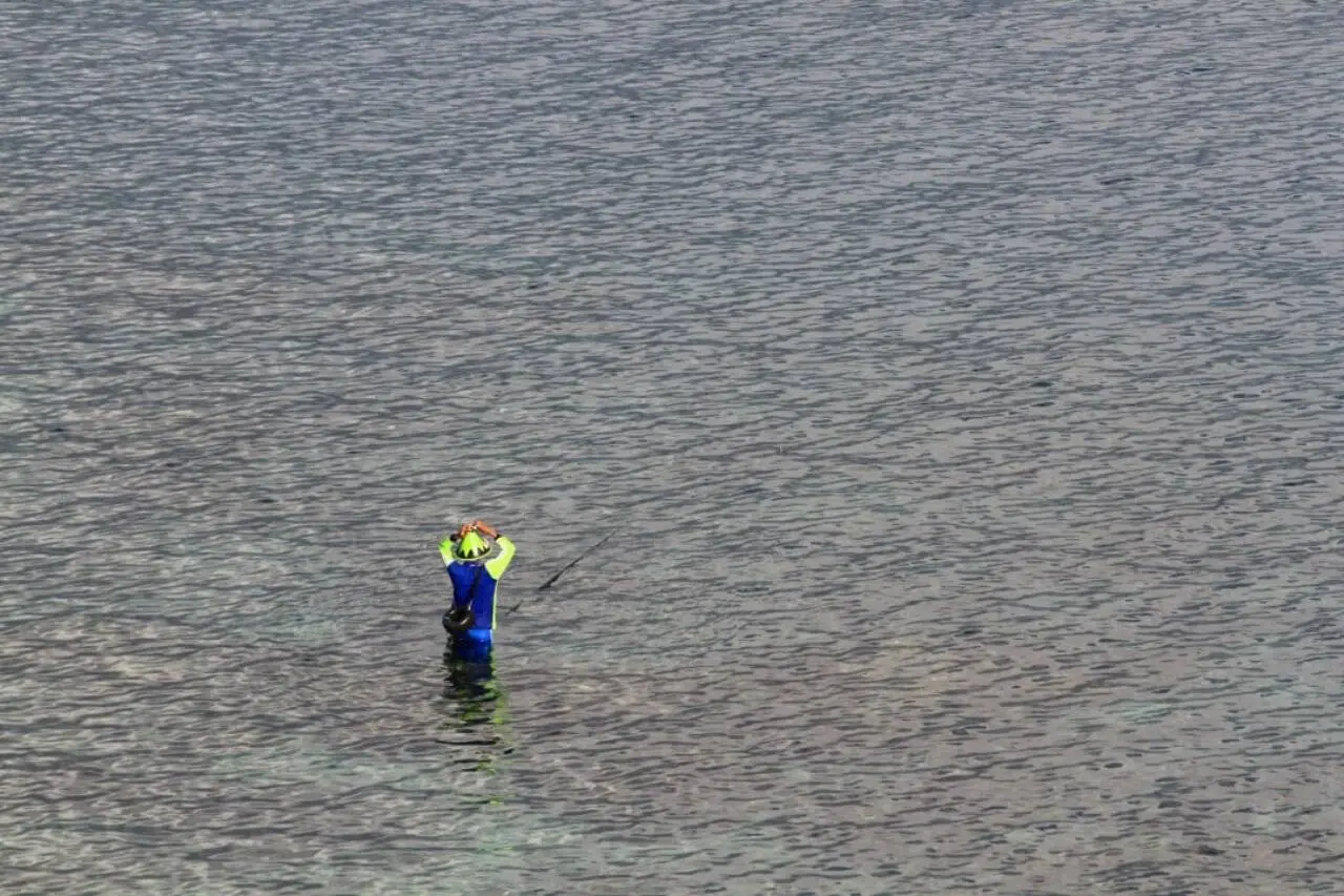 Pescador