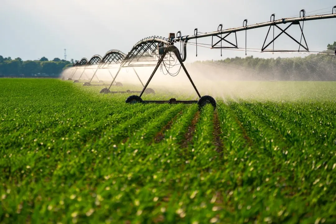 Plantação, agricultura