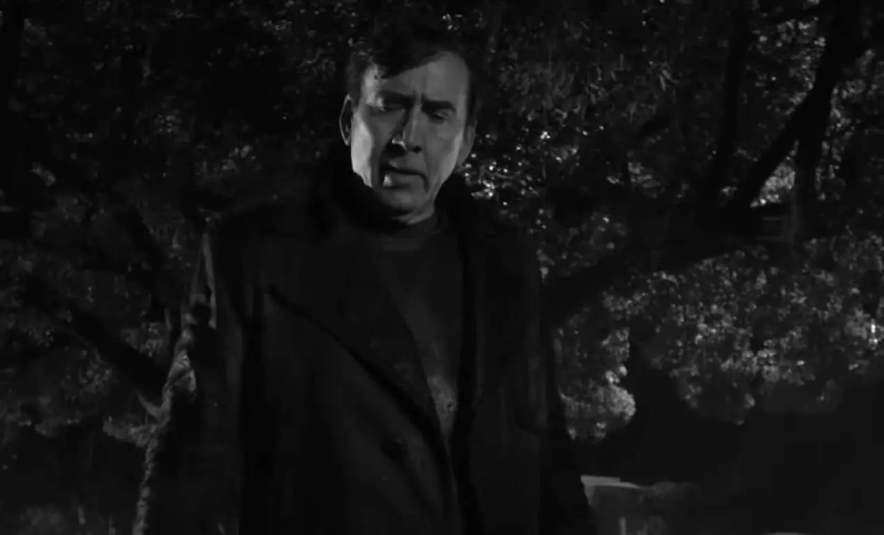Spider-Noir