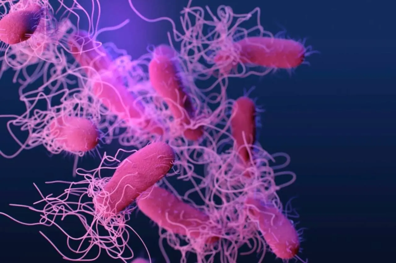 Uma ilustração médica de Salmonella