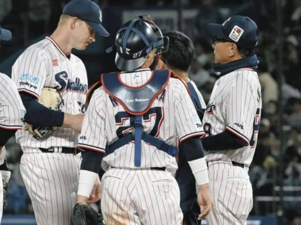 Yakult Baseball