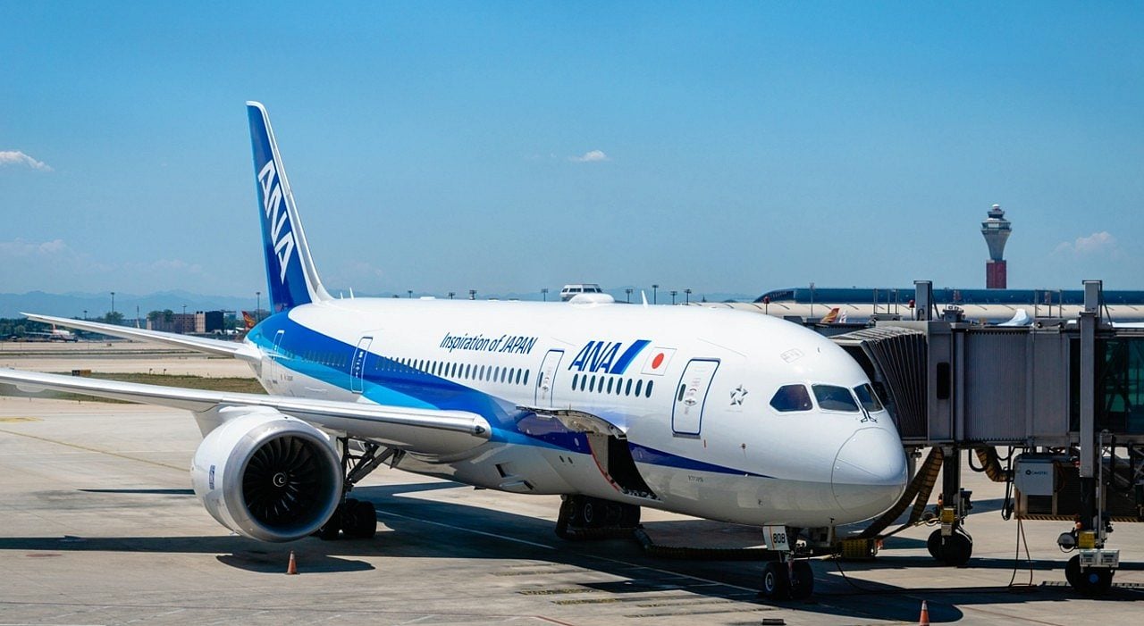Ana empresa aerea