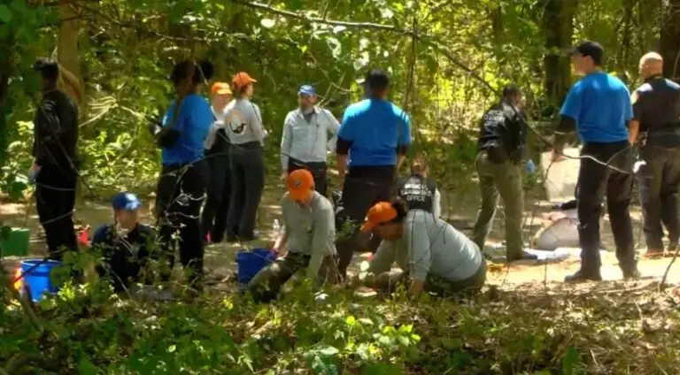 Authorities investigate the discovery of unidentified remains of three children, believed to be between 3 and 7 years of age, in Memphis, Tennessee - WMC