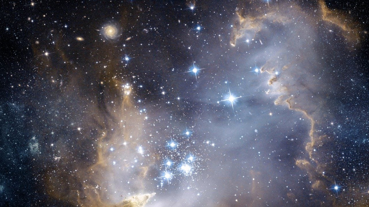 cosmos