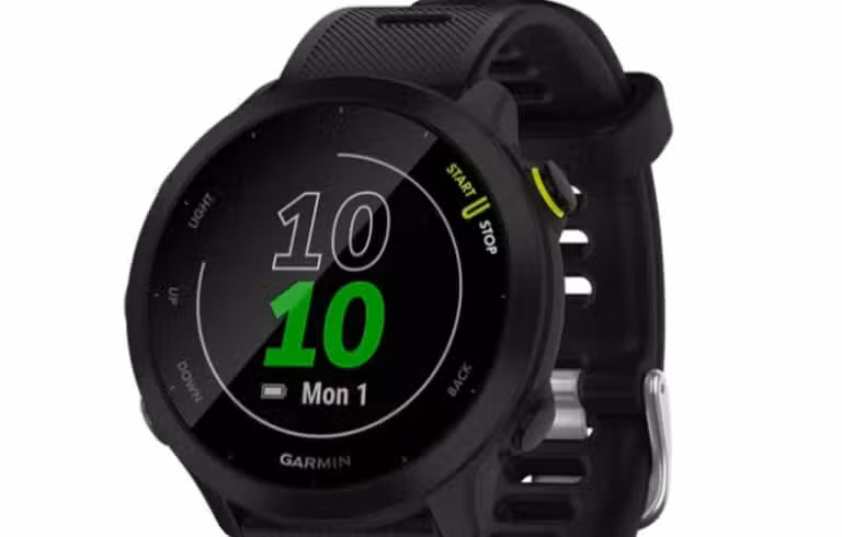 Garmin - Divulgação
