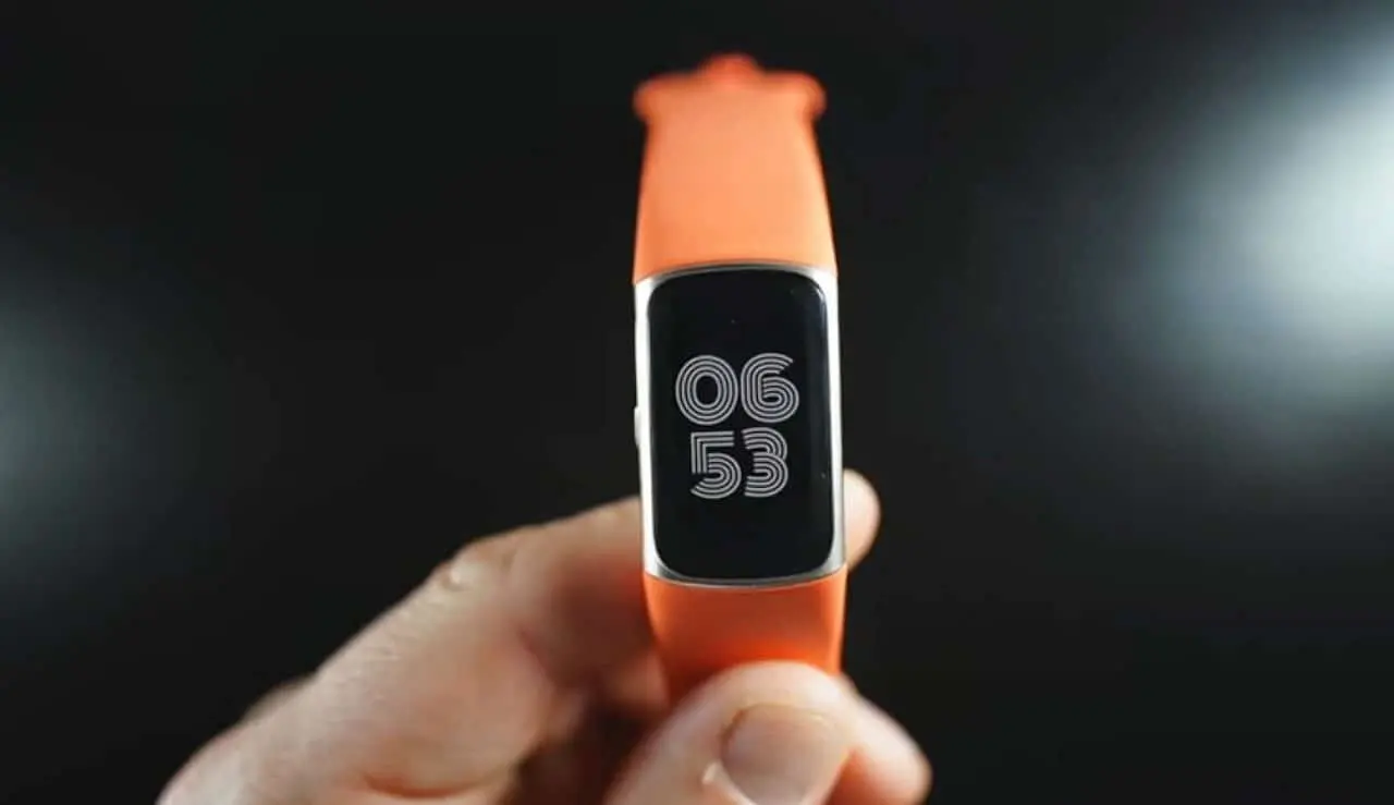 Google Fitbit