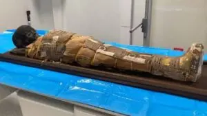 تكنولوجيا التصوير المقطعي تكشف عن اكتشاف غير عادي داخل مومياء مصرية لطفل قديم