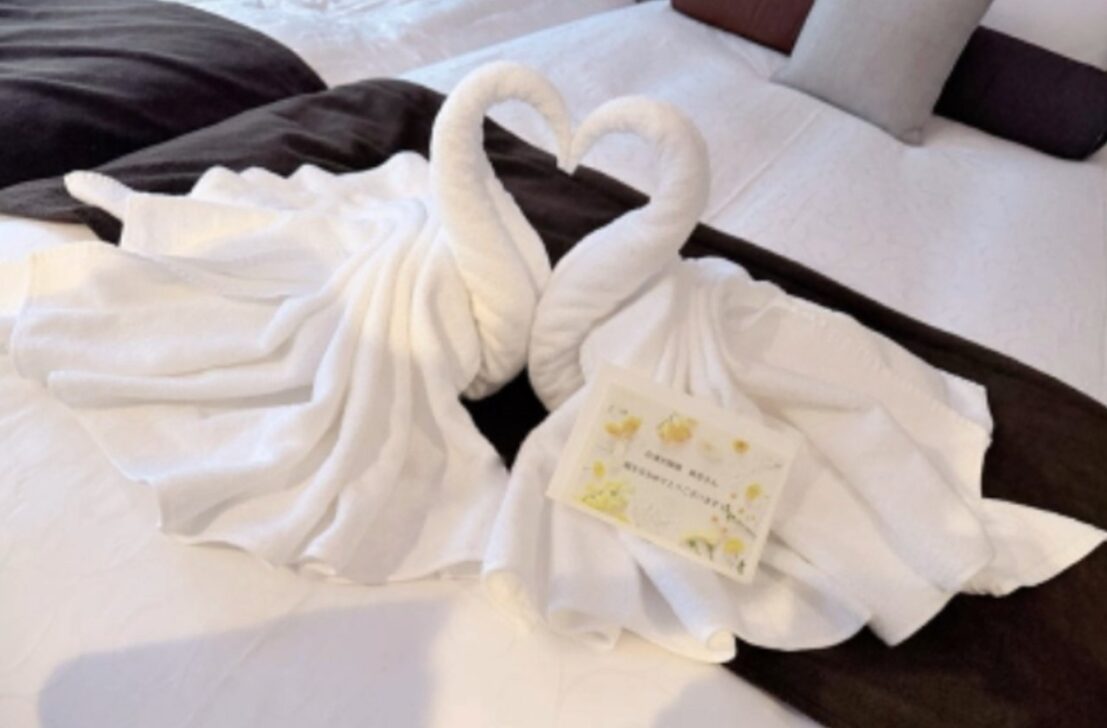 Nozomi Tsuji encontra arte de toalhas com cisnes em hotel - Reprodução