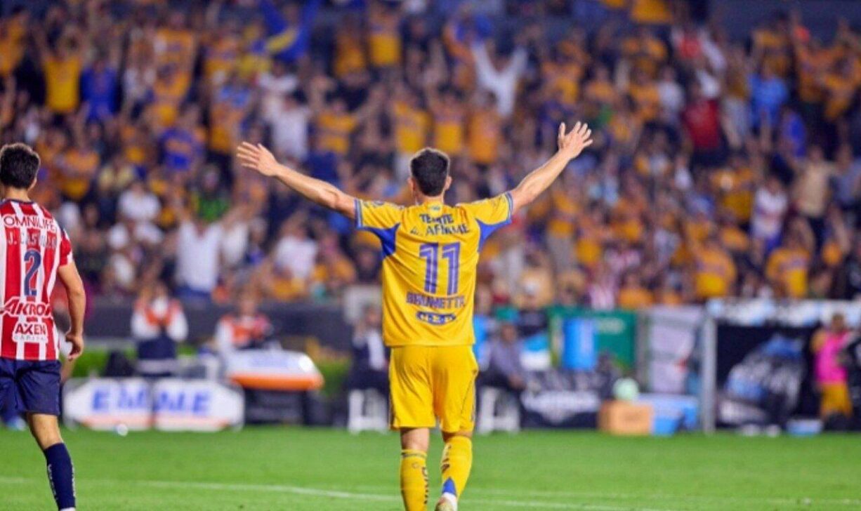 Tigres - X