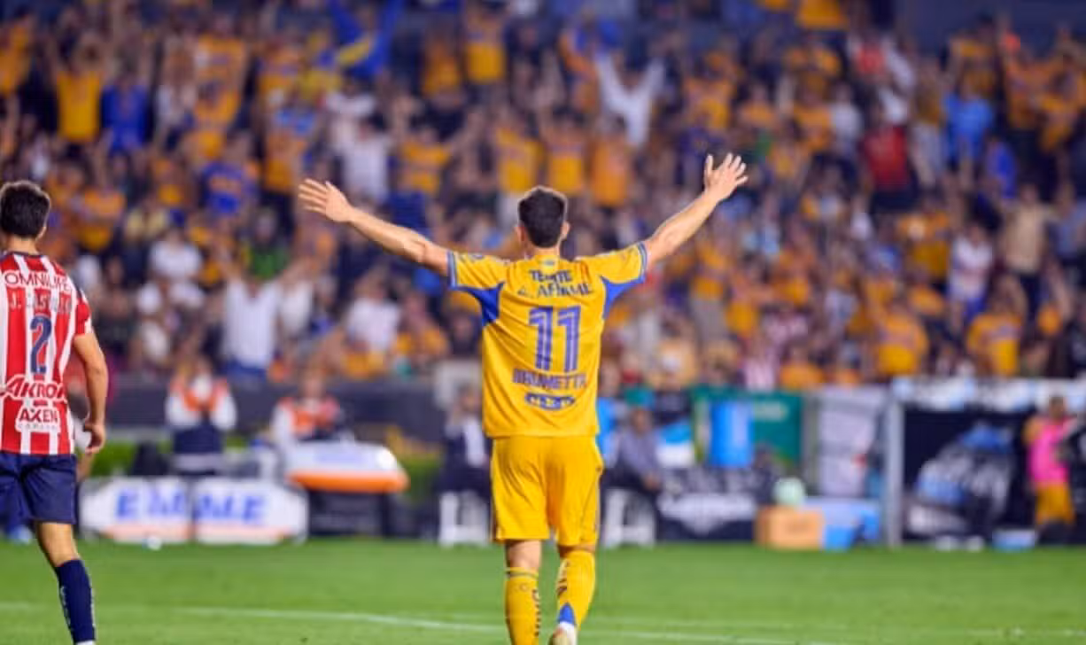 Tigres - X