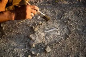 Descoberta de estatuetas de tartaruga na Turquia aponta para antigos rituais