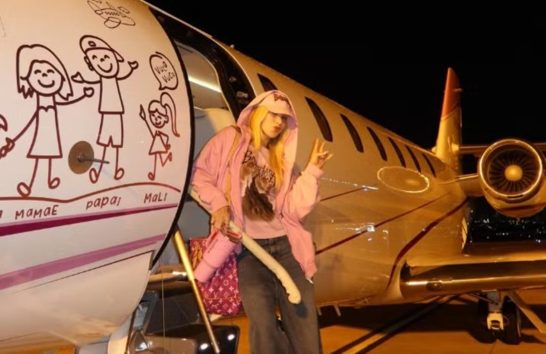 Avião de Virginia Fonseca