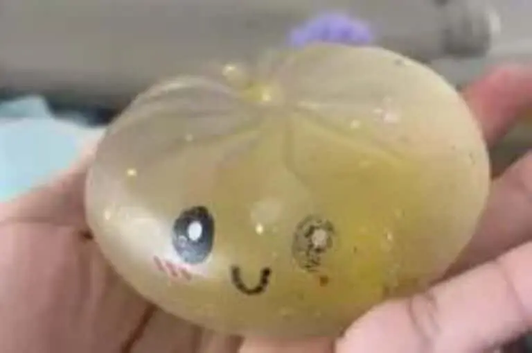 Brinquedo viral na internet