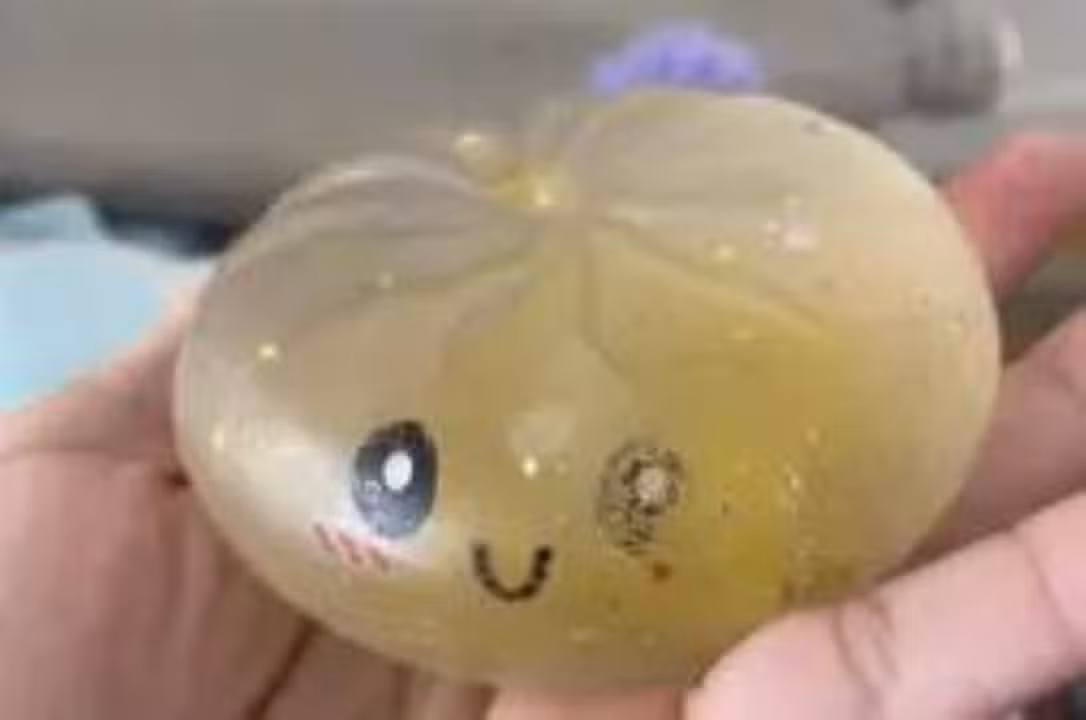 Brinquedo viral na internet