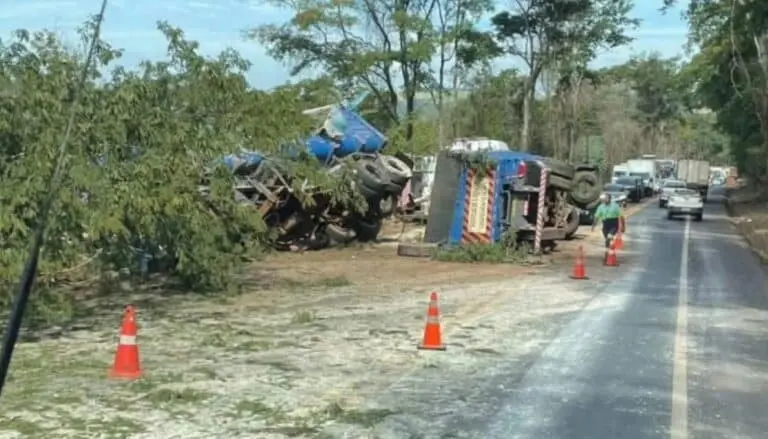 Carreta bate em árvore, tomba e interdita BR-365 em Uberlândia