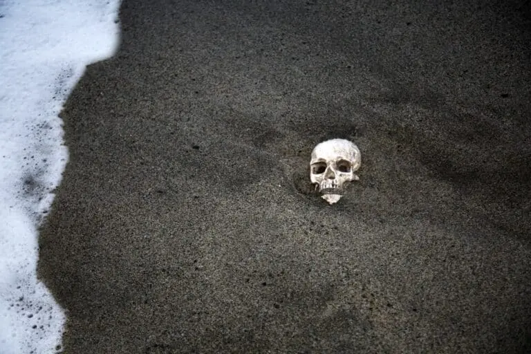 Crânio humano em praia
