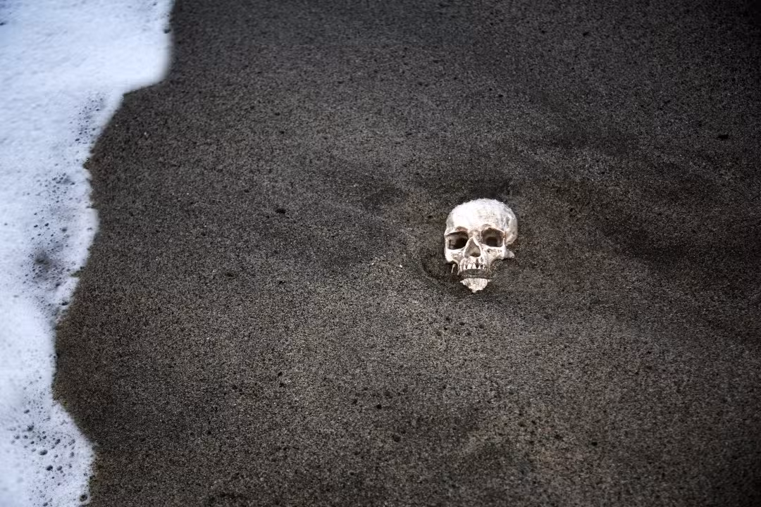 Crânio humano em praia