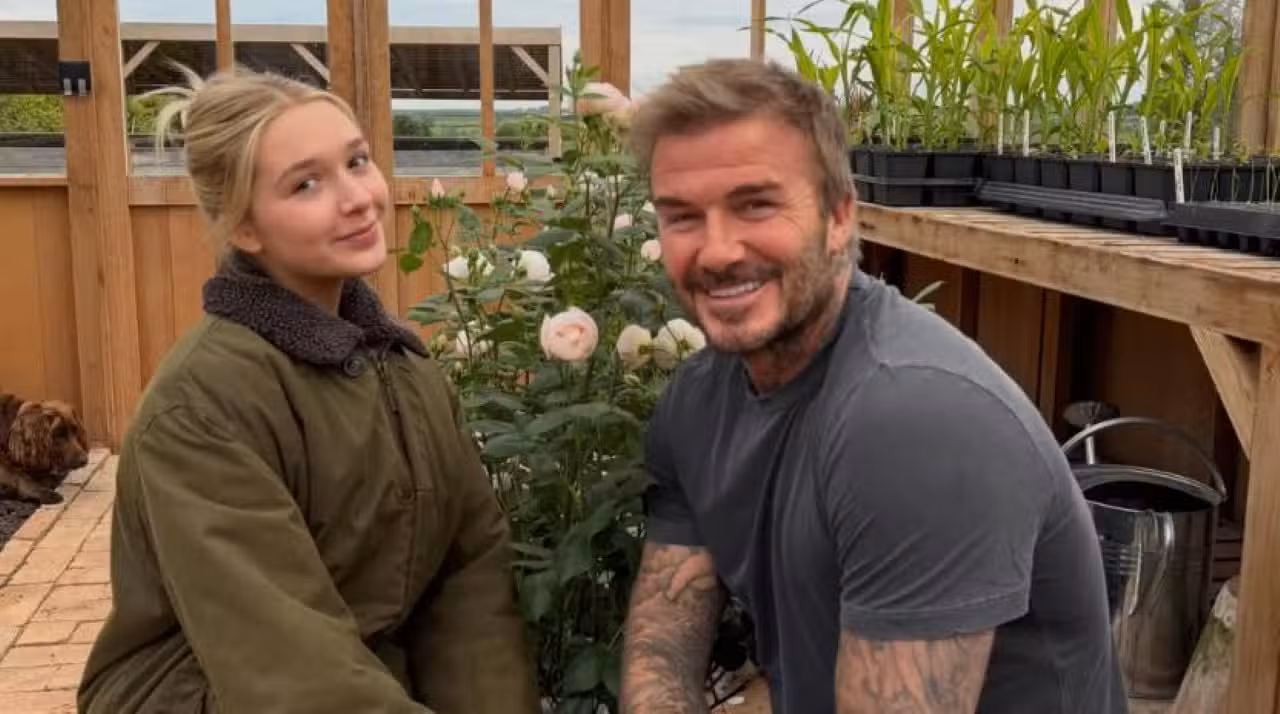 David Beckham