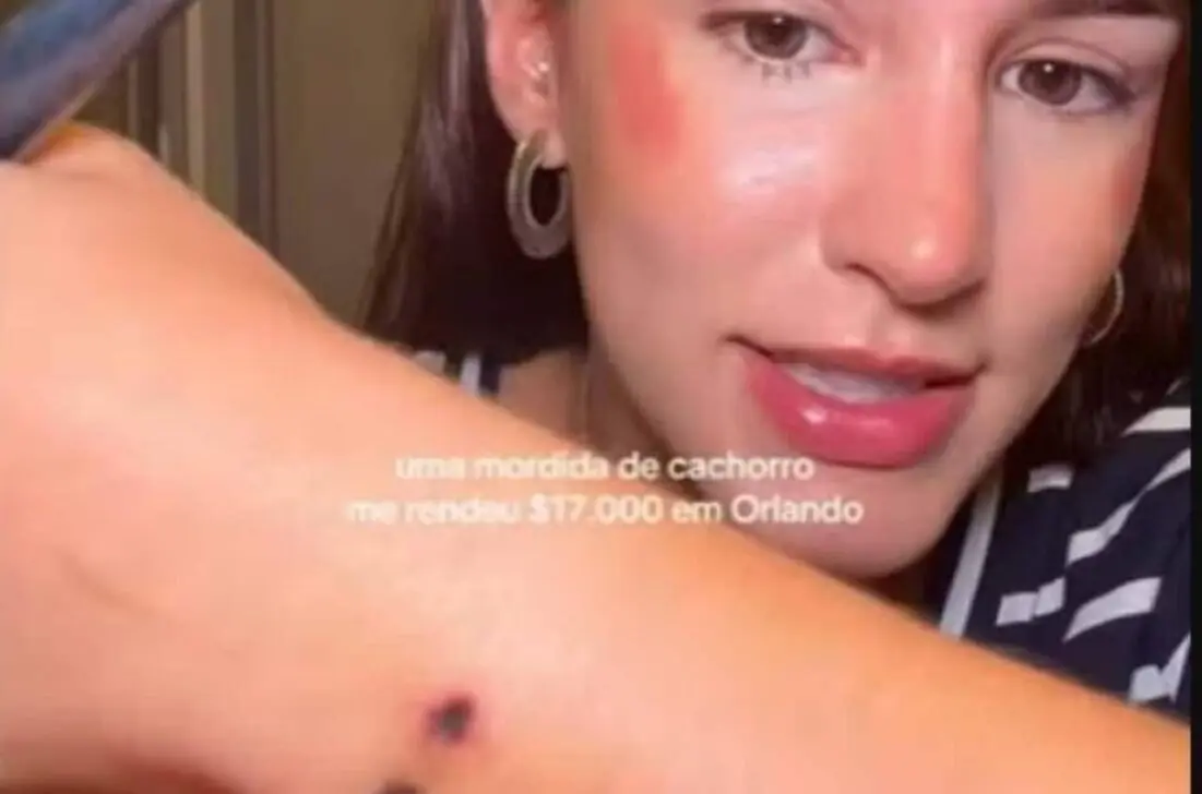 Villakoiran pureminen perii 84 000 R$ sairaalamaksun vaikuttaja Debora Rochalle Orlandossa