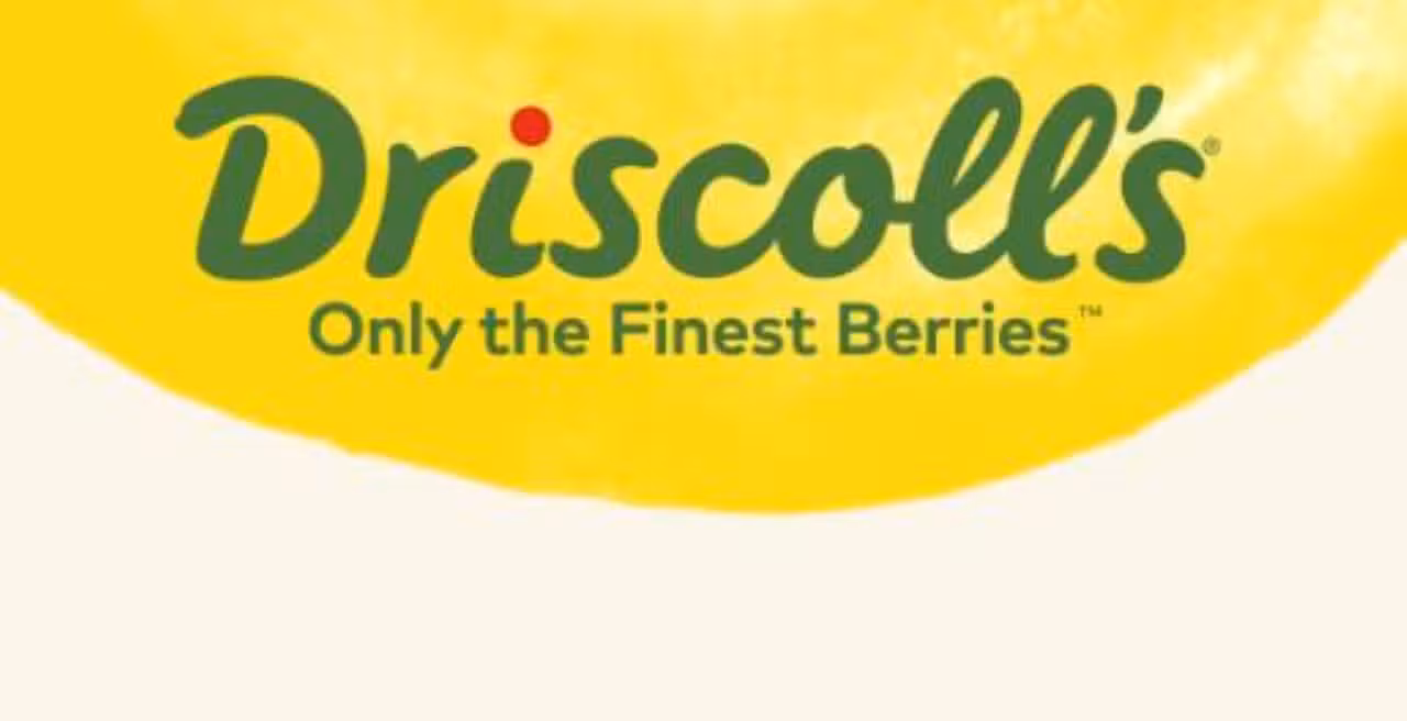 Driscoll's
