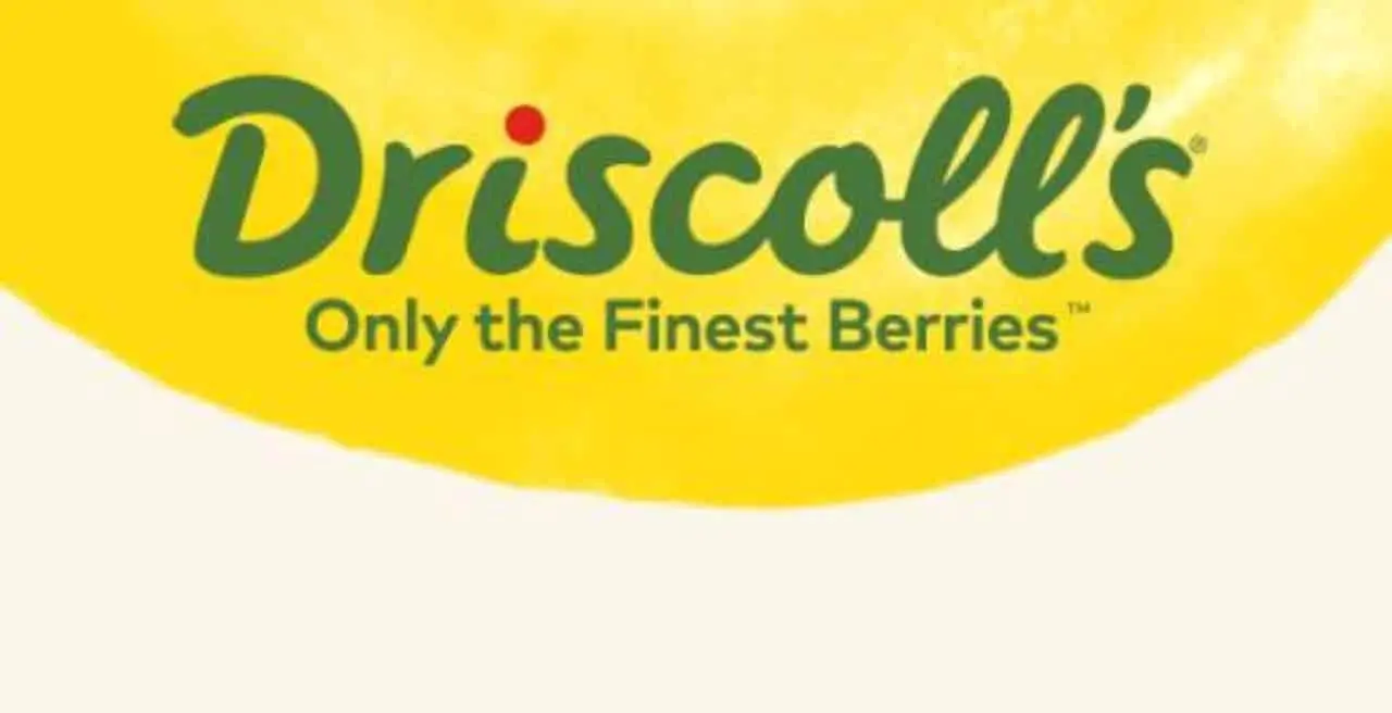 Driscoll’s denies pesticide contamination after consumer group test
