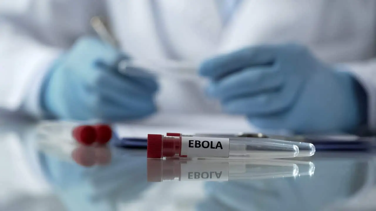 Ebola vírus