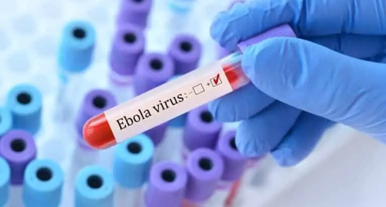 Ebola vírus