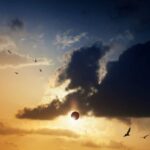 Eclipse solar