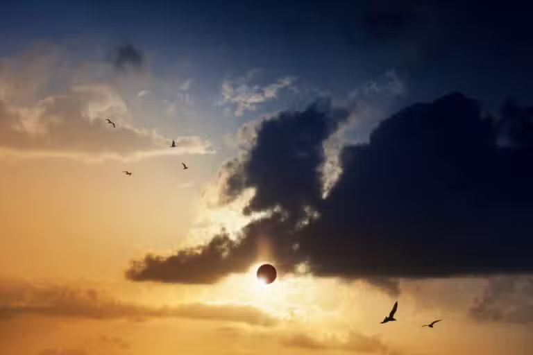 Eclipse solar