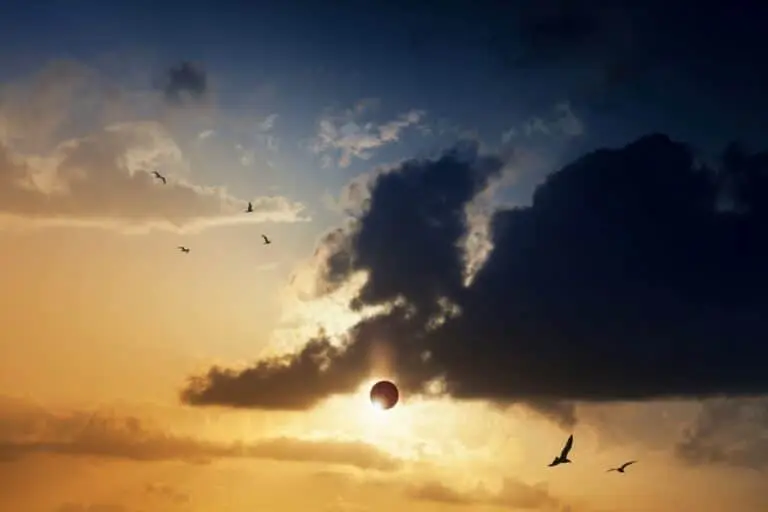 Eclipse solar