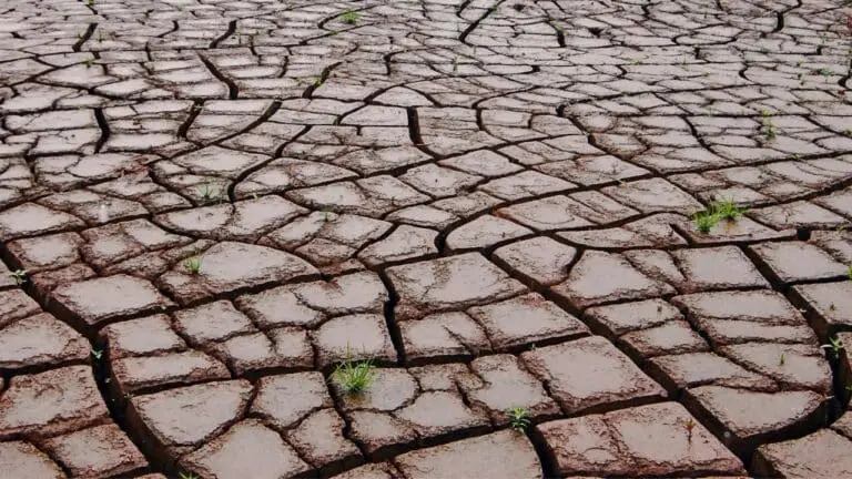 El Niño fez com que a terra secasse e rachasse