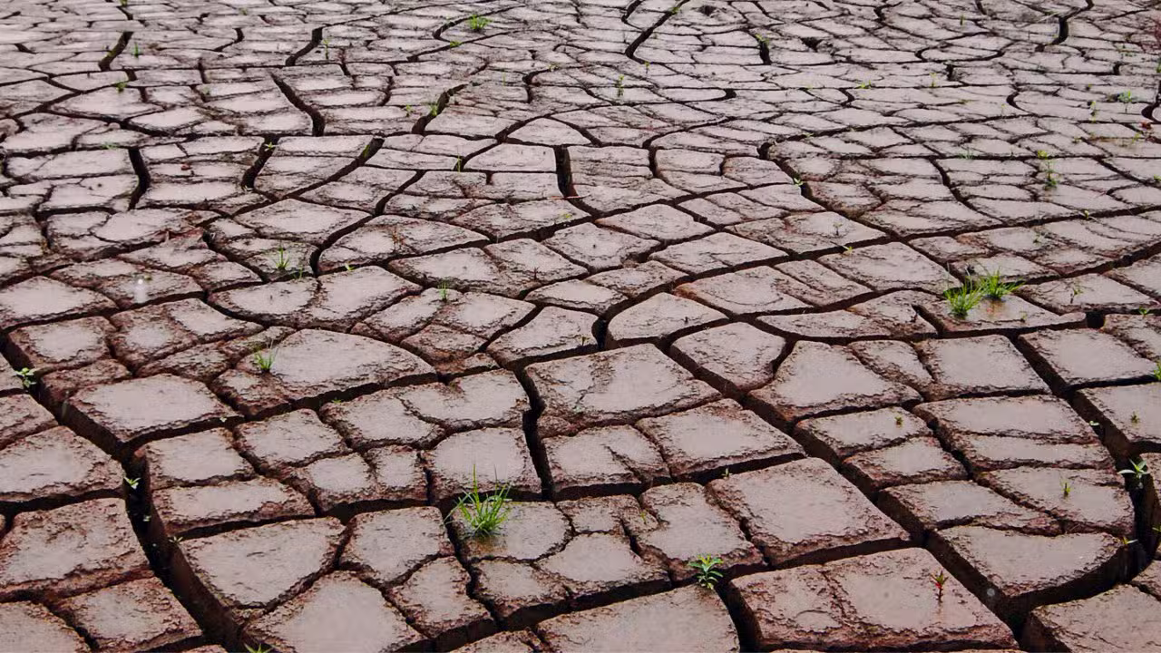 El Niño fez com que a terra secasse e rachasse