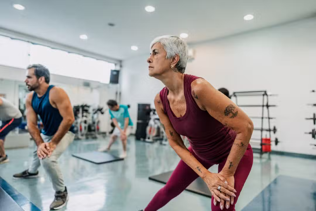 Gin&aacute;stica, fysiske &oslash;velser