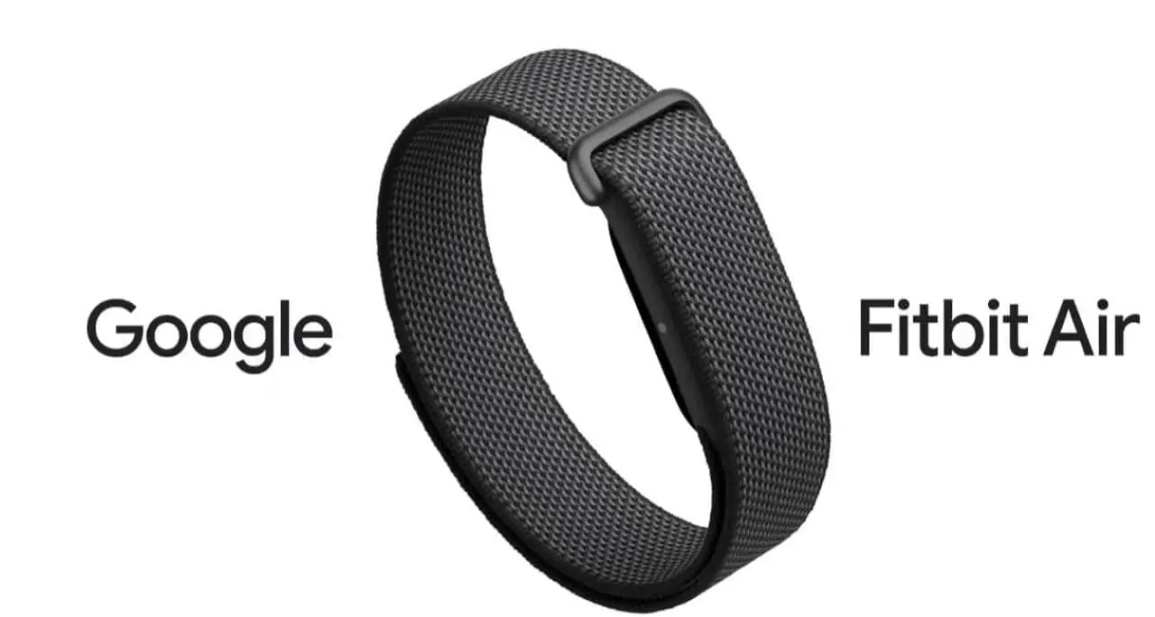 Google Fitbit
