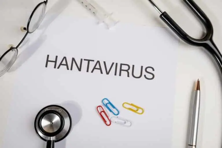 Hantavírus