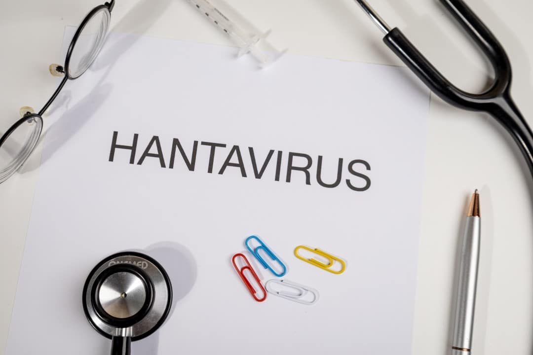 Hantavírus