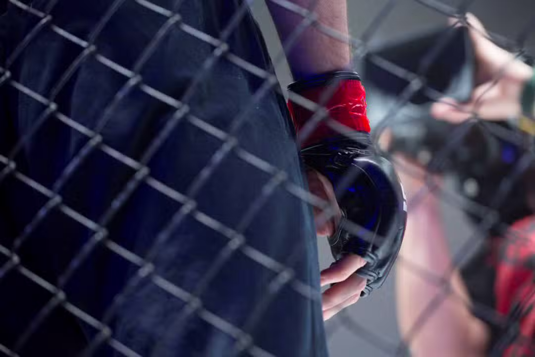 MMA, lutas, lutador