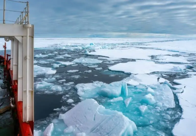 oceano ártico