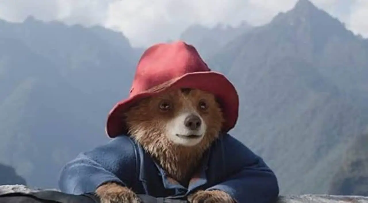 Paddington 4