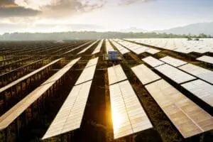 Crise na indústria solar chinesa agrava-se apesar da liderança global em painéis