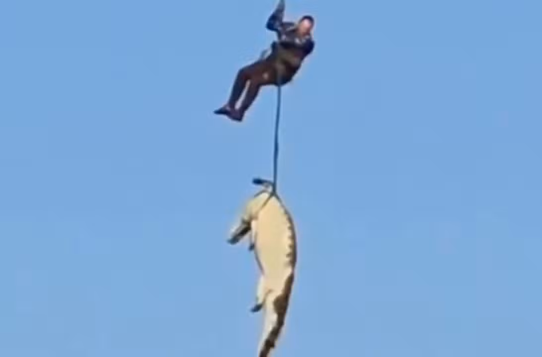 Policial resgata restos mortais de homem devorado por crocodilo