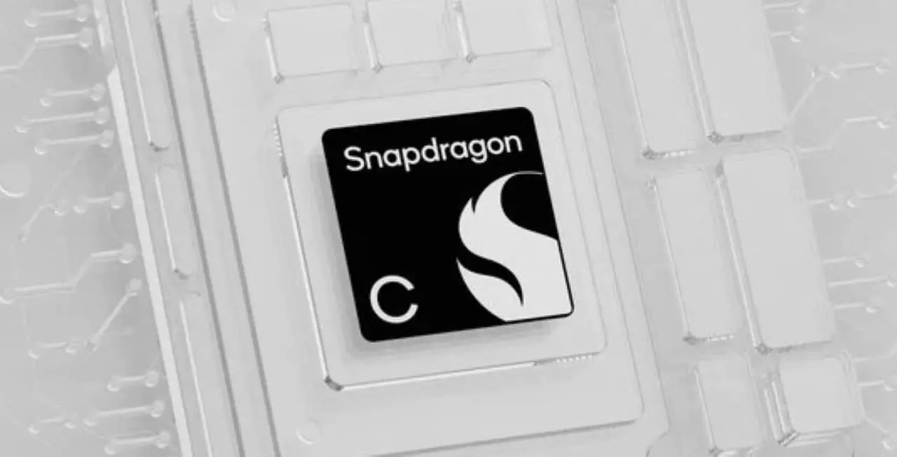 Snapdragon C
