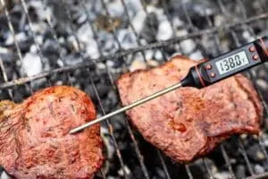 Os melhores termômetros de carne de 2026: guia completo para escolher o ideal