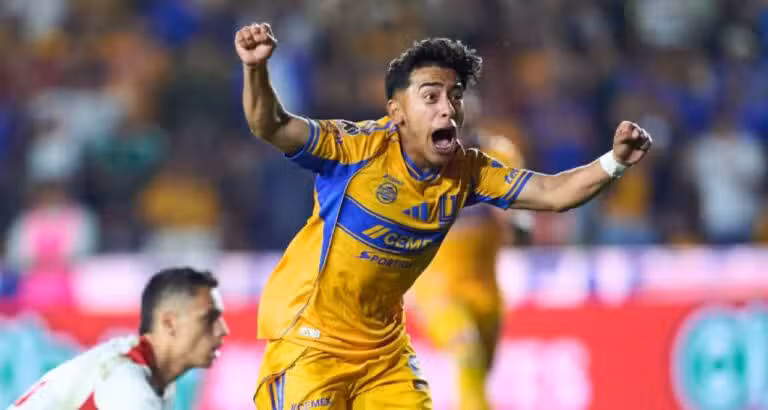 Tigres