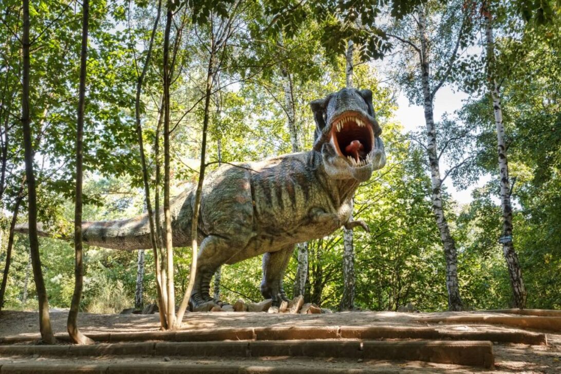 Tiranossauro rex