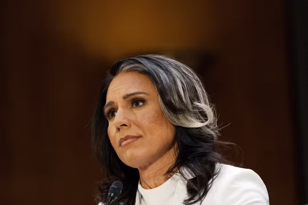 Tulsi Gabbard