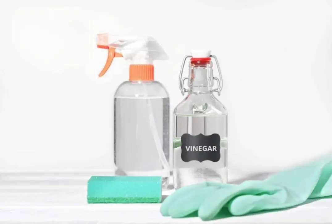 Vinagre branco, limpeza, luva para limpeza, esponja