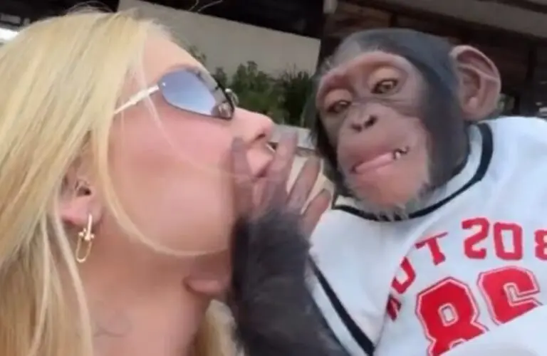 Virginia beijando macaco