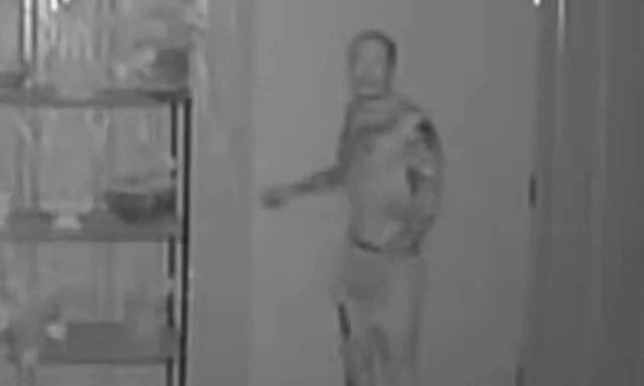 Casal Descobre homem morando no porão da casa