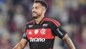 Danilo Flamengo - @daniluiz2